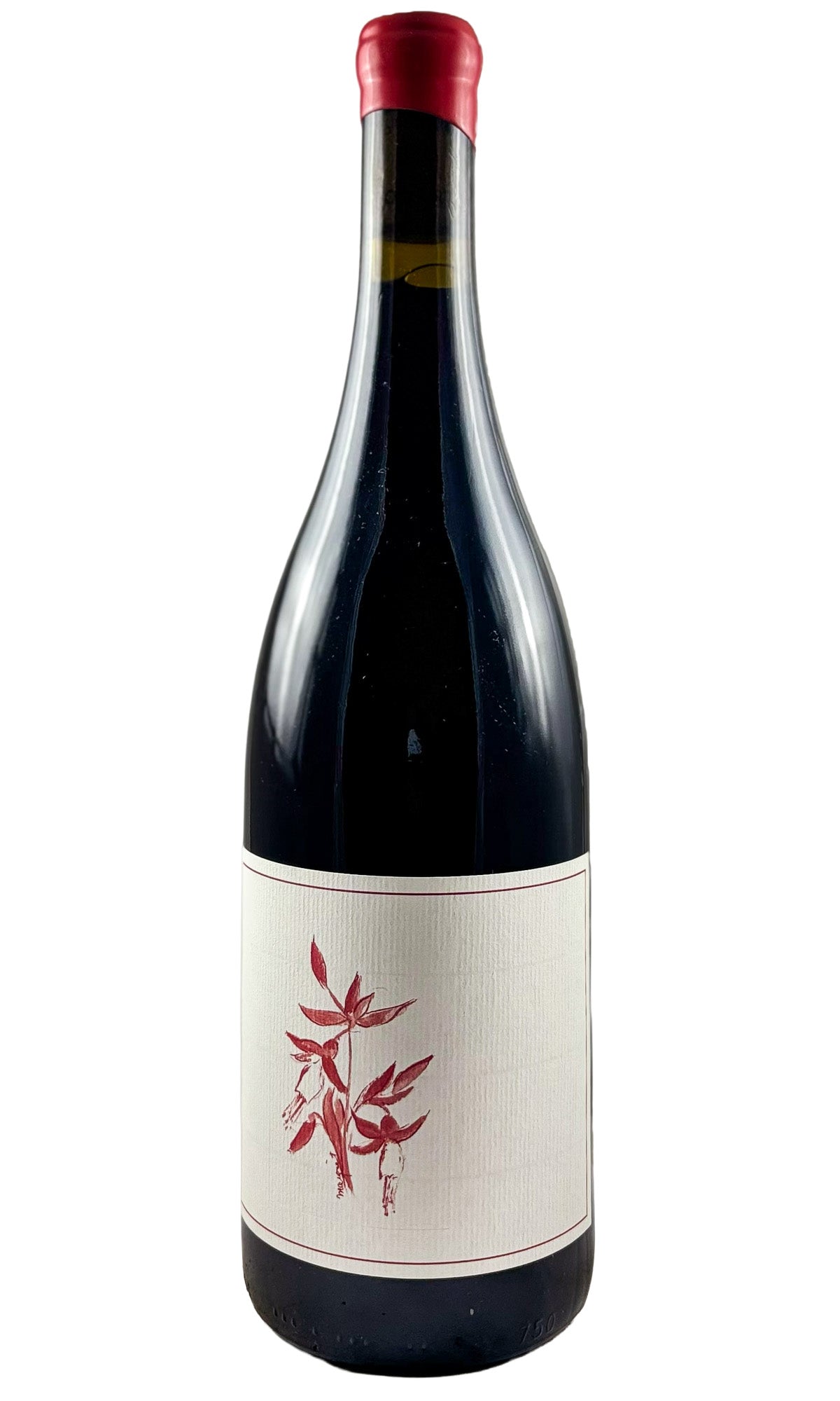 Bottle of Arnot-Roberts, Pinot Noir Peter Martin Ray Vineyard Santa Cruz Mountains, 2024 - Red Wine - Flatiron Wines & Spirits - New York