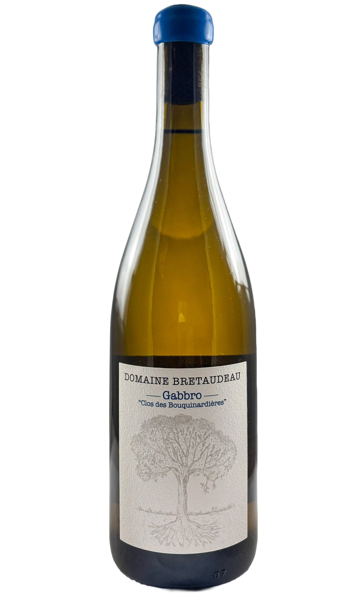 Bottle of Bellevue (Jerome Bretaudeau), Muscadet Sevre-et-Maine Gabbro Clos Des Bouquinardieres, 2023 - White Wine - Flatiron Wines & Spirits - New York