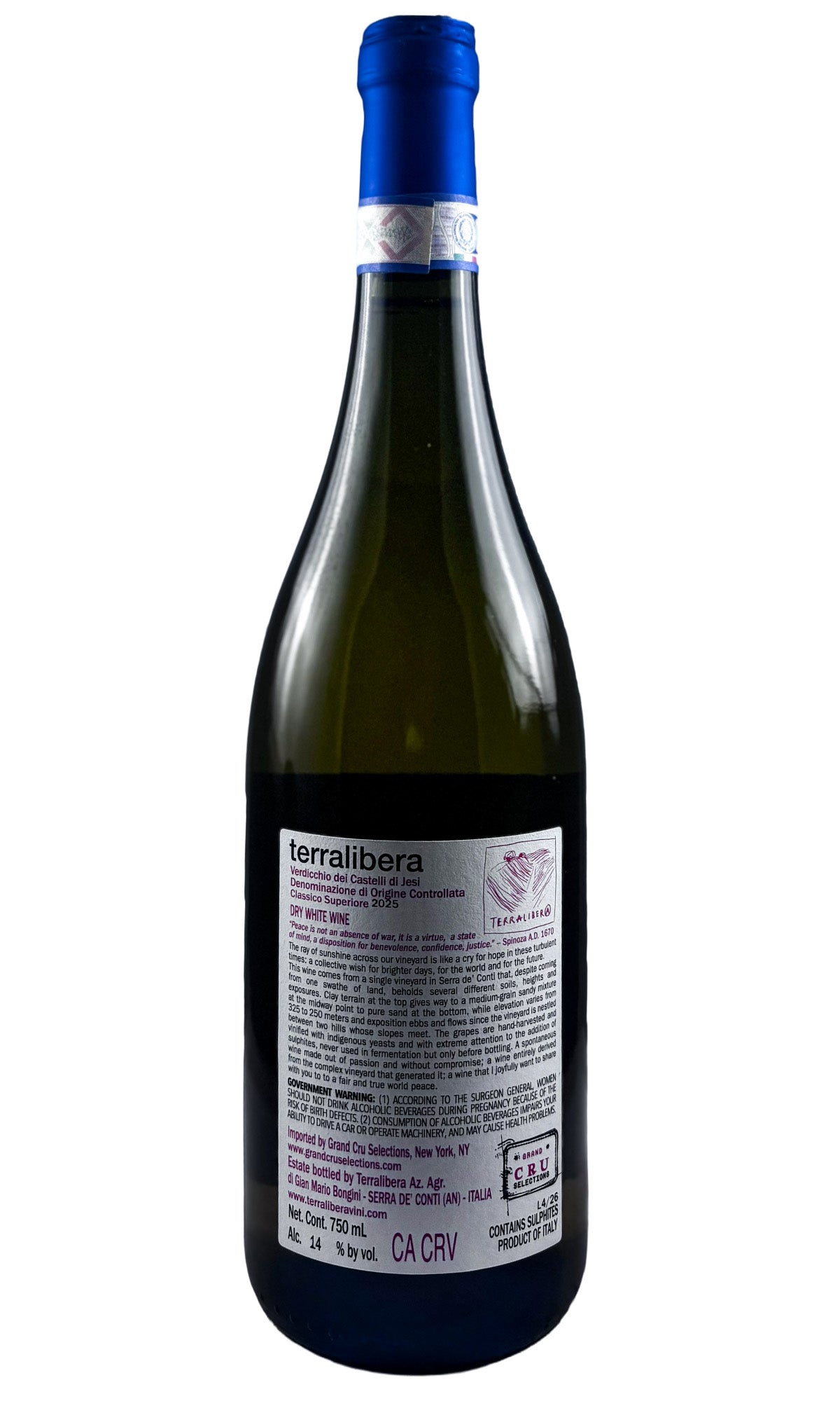 Terralibera, Verdicchio Classico Superiore, 2025