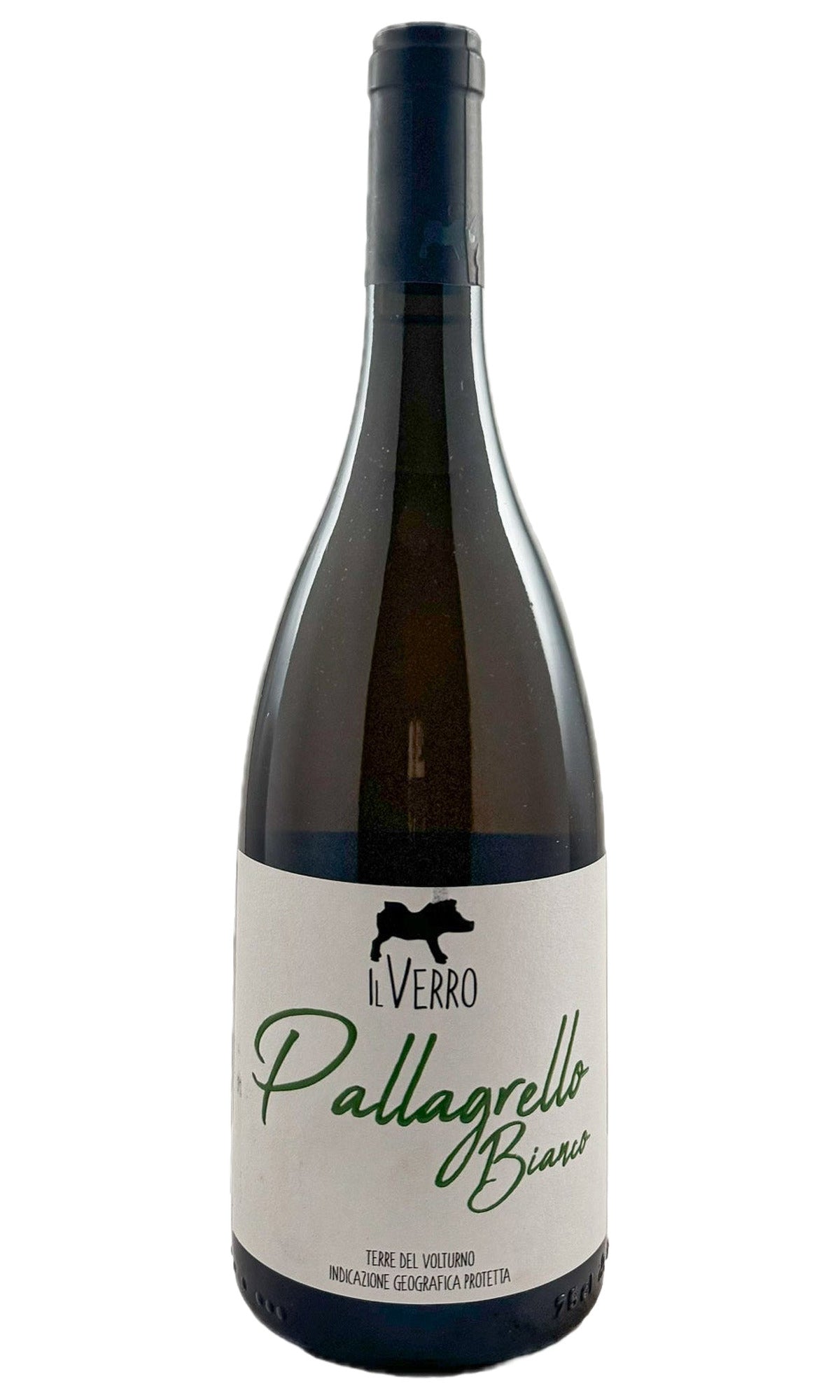 Bottle of Il Verro, Pallagrello Bianco "Verginiano", 2022 - White Wine - Flatiron Wines & Spirits - New York