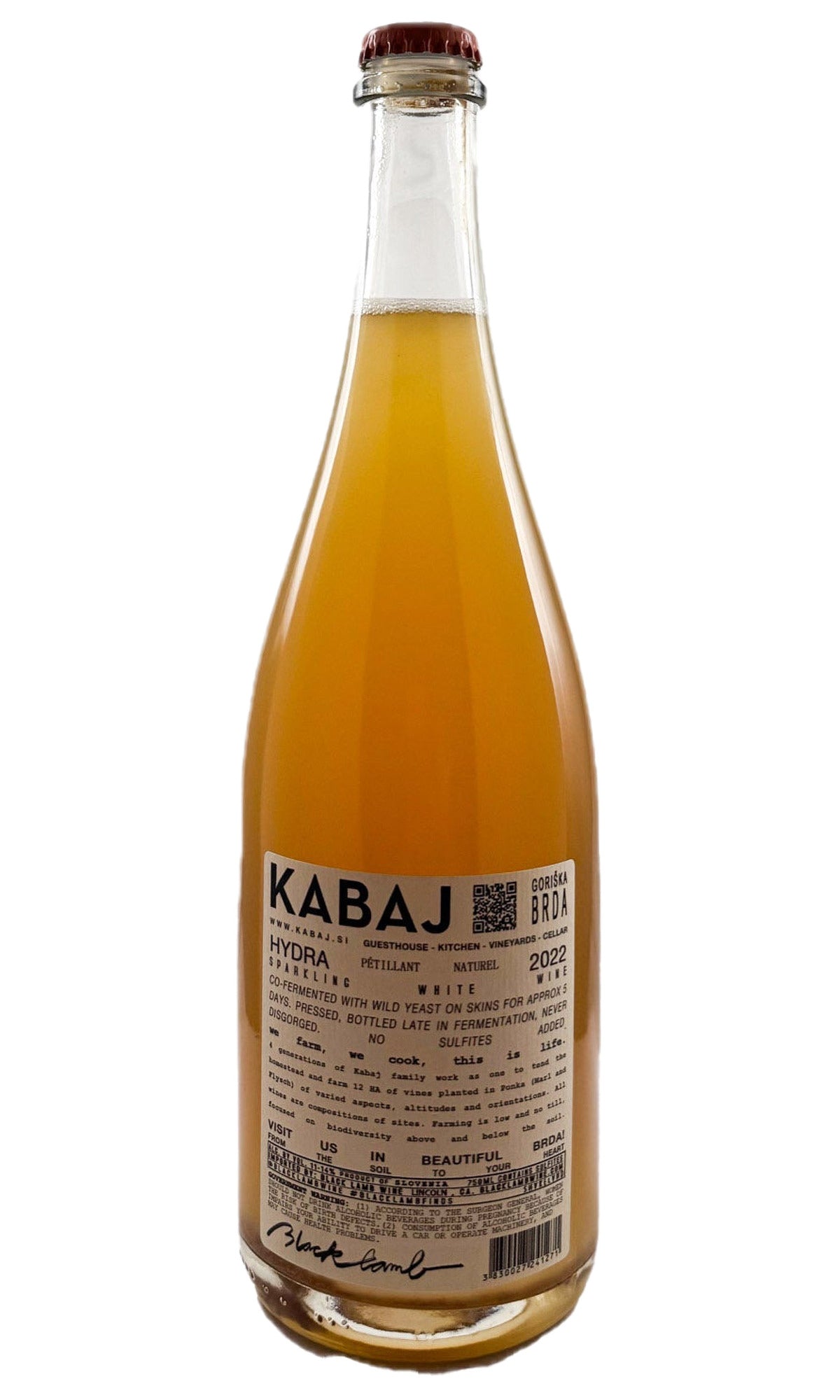 Bottle of Kabaj, San Lurinz Pet-Nat 'Hydra', 2022 - Sparkling Wine - Flatiron Wines & Spirits - New York