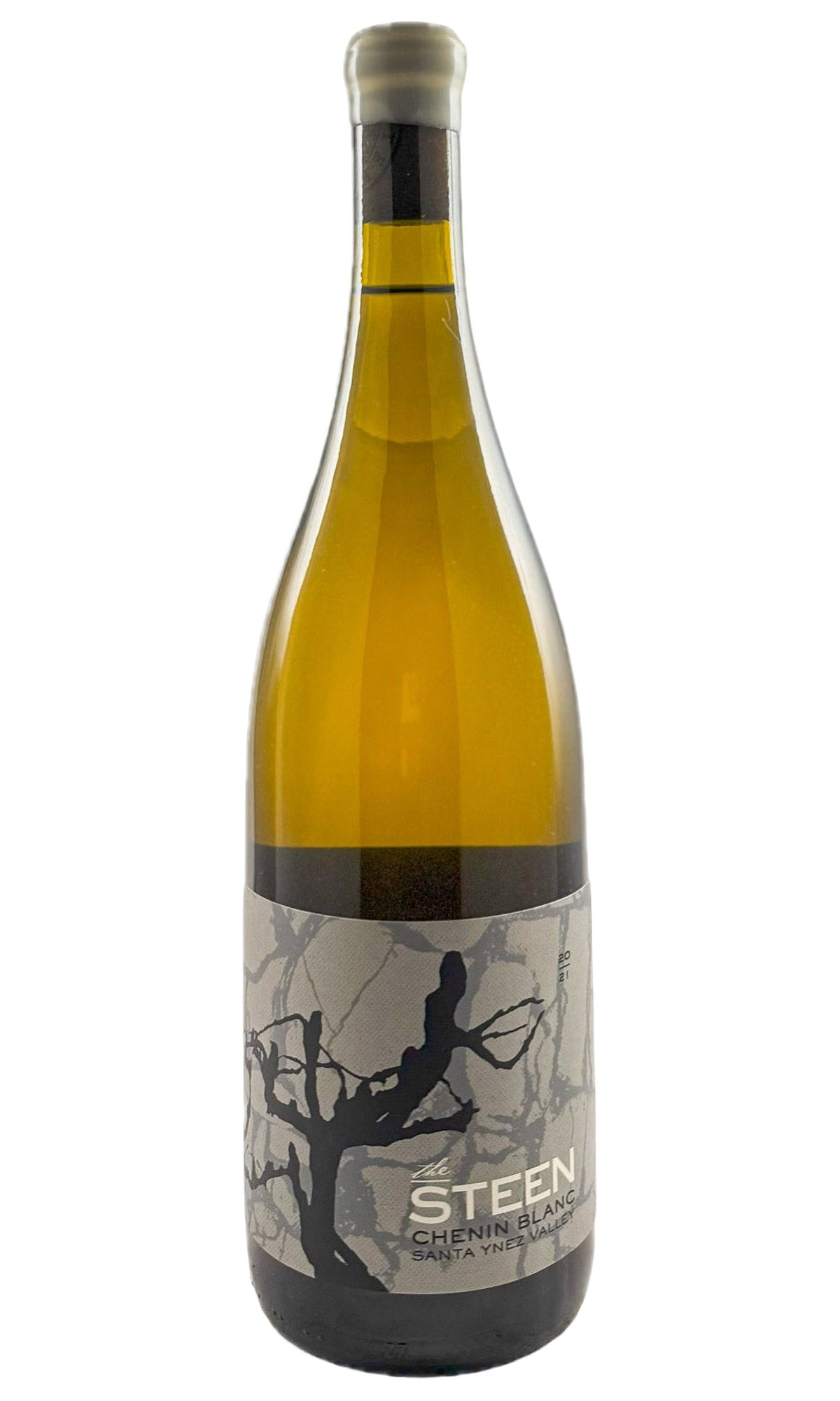 Bottle of Leo Steen, Jurassic Vineyard The Steen Chenin Blanc, 2021 - White Wine - Flatiron Wines & Spirits - New York