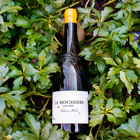 Terrifically Terroir-Driven Sancerre from Alphonse Mellot