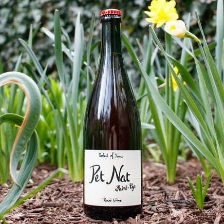 A Fan Favorite Returns: Domaine Saint-Cyr's Rosé Gamay Pet-Nat