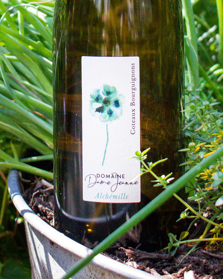 White Burgundy with Champagne Soul: Dame Jeanne Coteaux Bourguignons