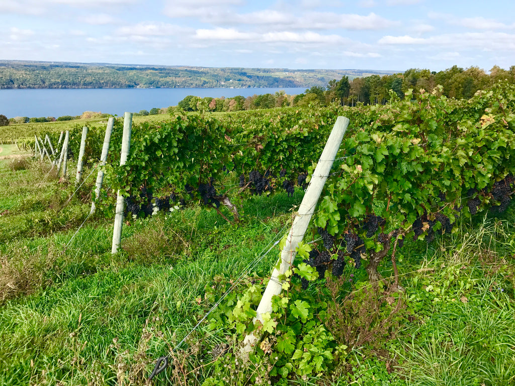 Vacation in the Finger Lakes: Food, Wine and more