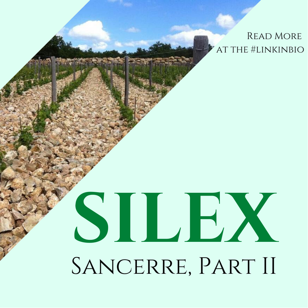 Part 2 of our Sancerre Guide is Here! All About Silex!
