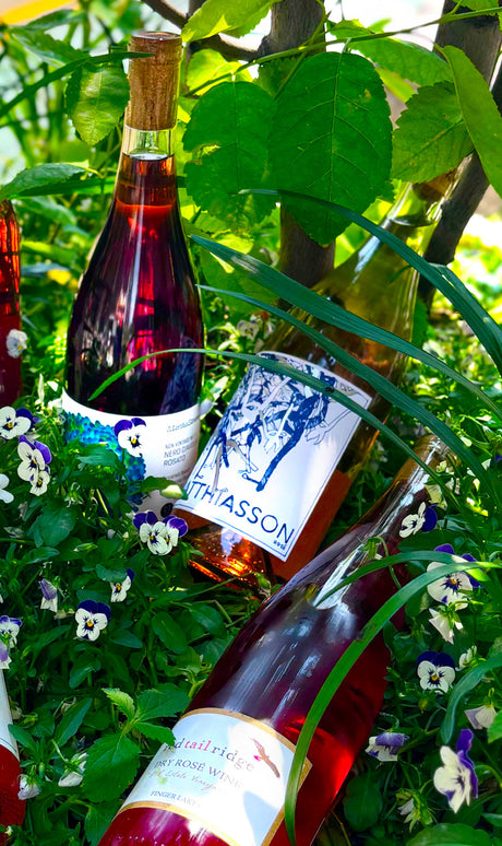 Domestic Rosé in the WSJ!