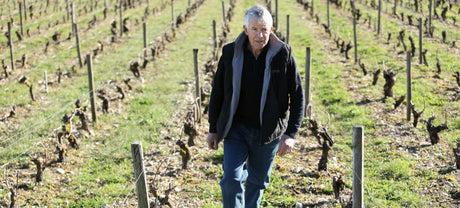 Chavignol Speaks: Boulay’s 2023 Single-Vineyard Sancerres