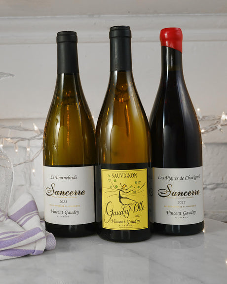 Vincent Gaudry's Sensational Sancerre (And a Very Vatan-Like Pinot Fin)