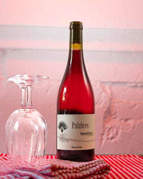 Summer's Perfect Red: Chillable Pineau d'Aunis, A Loire Hidden Gem