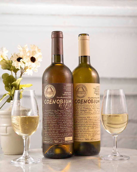 A Simply Divine Skin Contact Wine: Coenobium's Back!