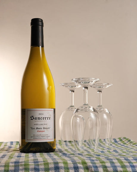Superb Sancerre from Top Terroir: Thomas Labaille's Monts Damnés