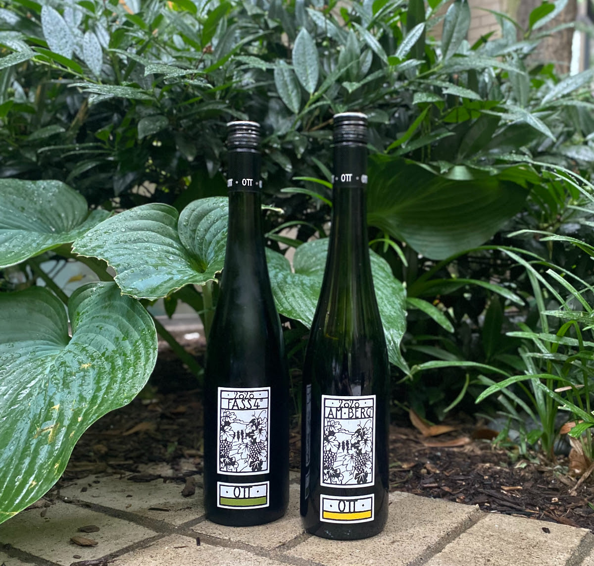 For A Summer that Sizzles, Turn to Bernhard Ott's 2020 Grüner Veltliner
