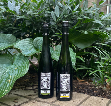 For A Summer that Sizzles, Turn to Bernhard Ott's 2020 Grüner Veltliner