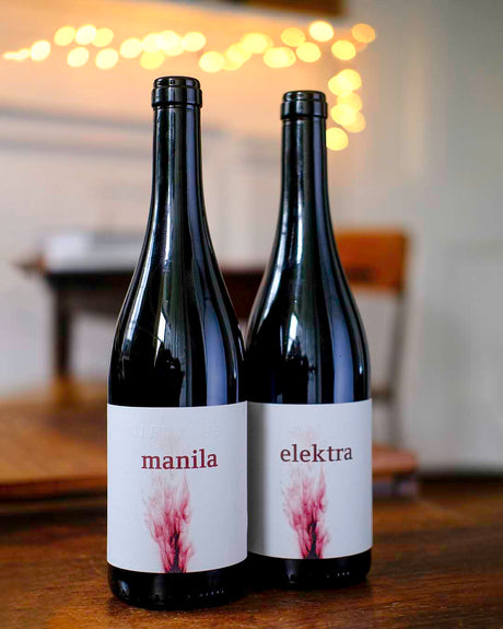 Austria's Hidden Red Gem: Fresh & Beautiful Blaufränkisch from Nittnaus