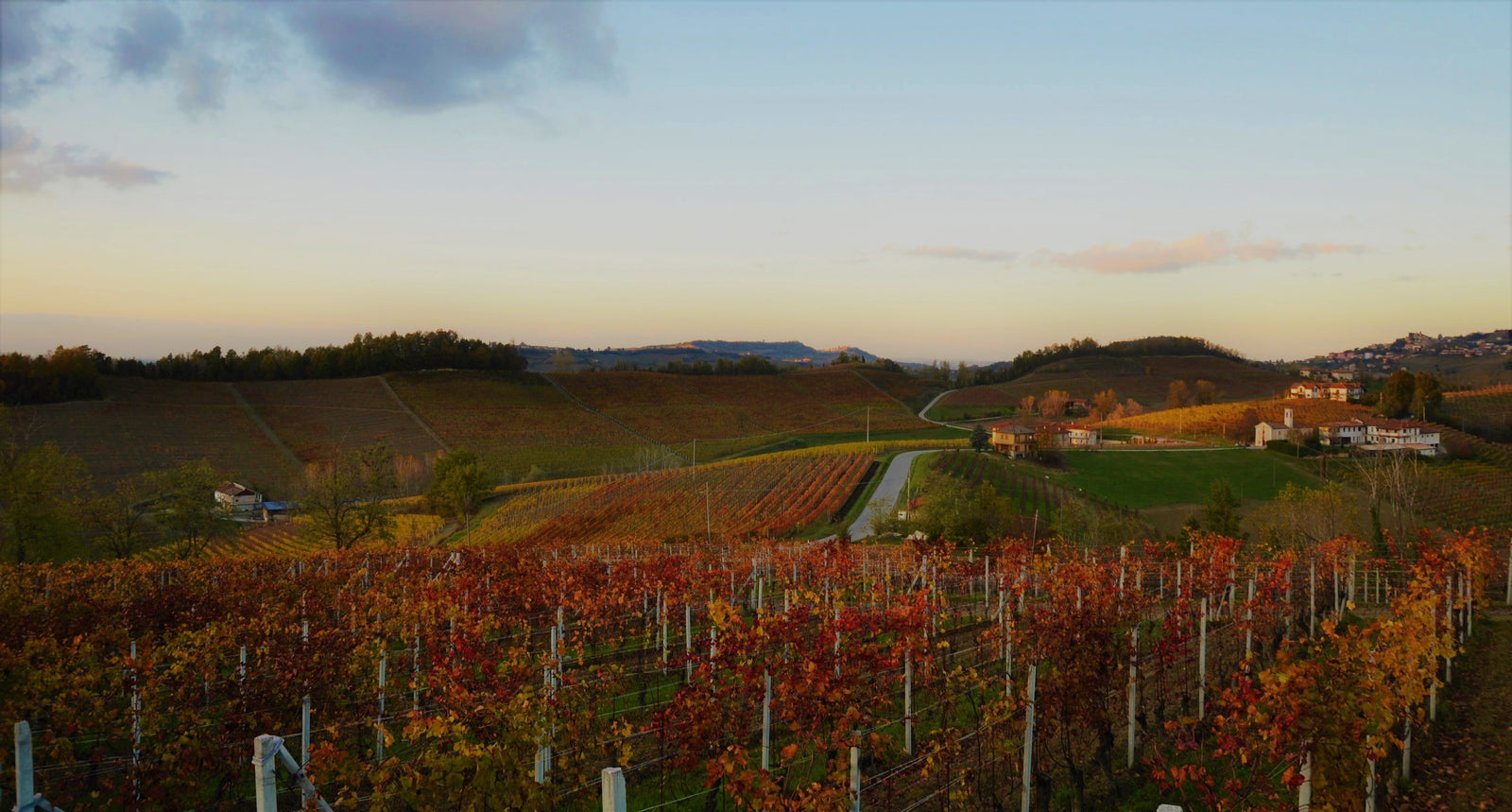 If you loved their Dogliani, wait until you taste their Barolo.