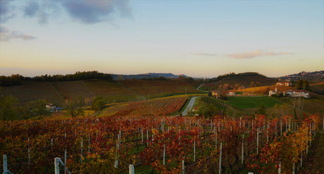 If you loved their Dogliani, wait until you taste their Barolo.
