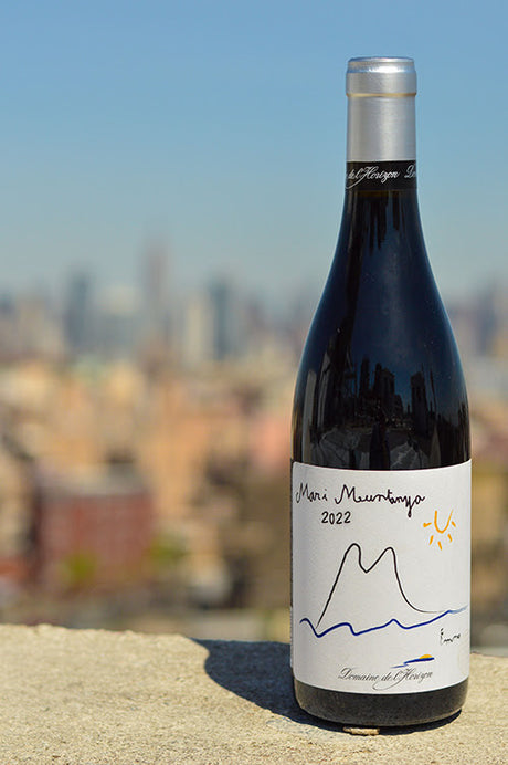 Stylized image of Domaine de l’Horizon bottle