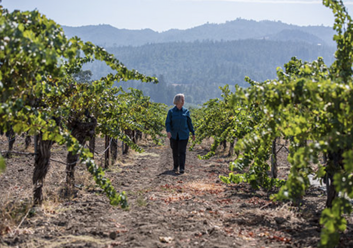 Cathy Corison wines on the DL (and at a great price!)