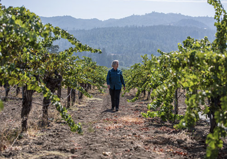 Cathy Corison wines on the DL (and at a great price!)