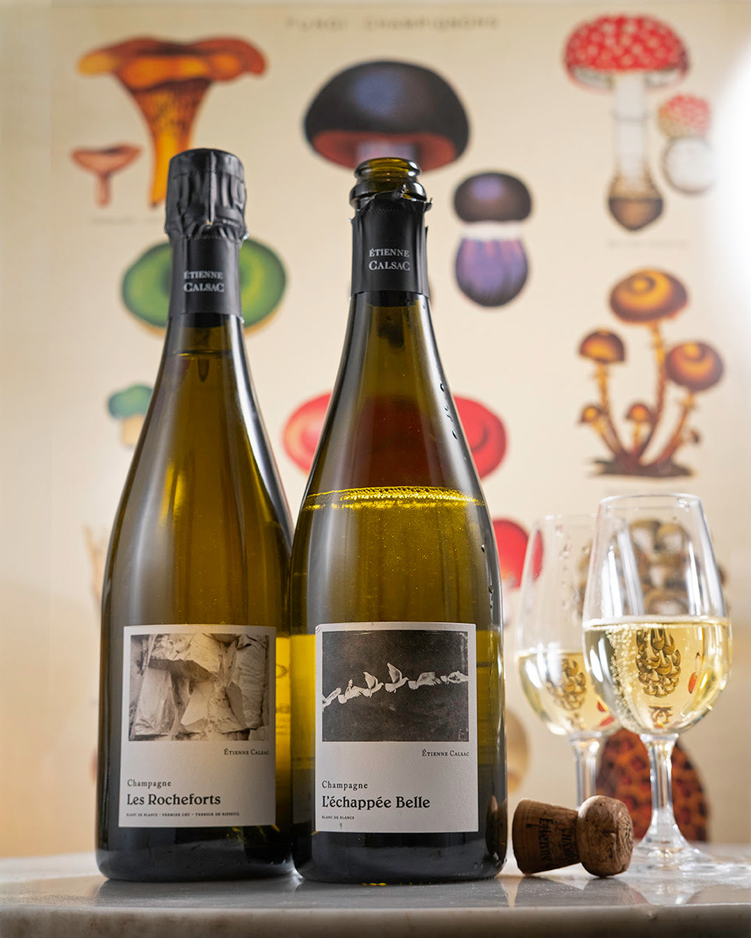 Stylized image of Etienne Calzac bottles