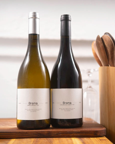 Stylized image of Clos Venturi wines
