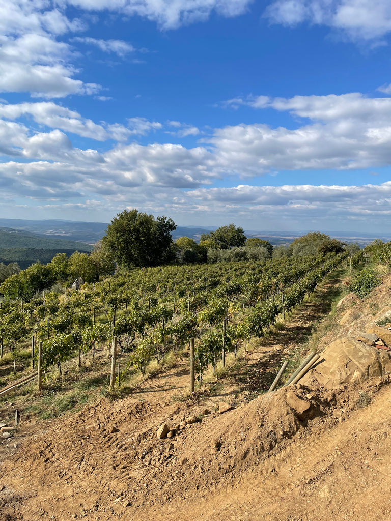 Brunello di Montalcino Sale