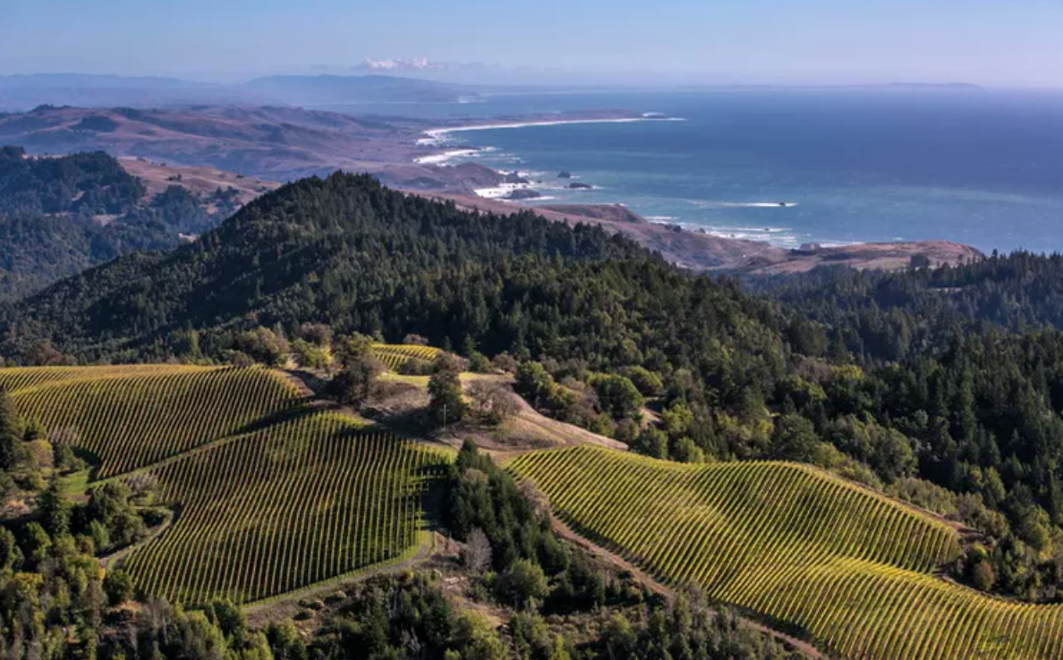 Charlie Palmer Steak IV: Flavors of Sonoma Wine Pairings