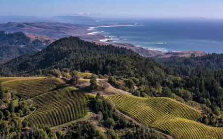 Charlie Palmer Steak IV: Flavors of Sonoma Wine Pairings
