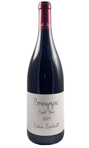 Bottle of Antoine Lienhardt, Bourgogne Pinot Noir , 2024 - Red Wine - Flatiron Wines & Spirits - New York