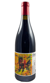 Bottle of Antonio Madeira, Dao Palhete Ainda, 2022 - Red Wine - Flatiron Wines & Spirits - New York