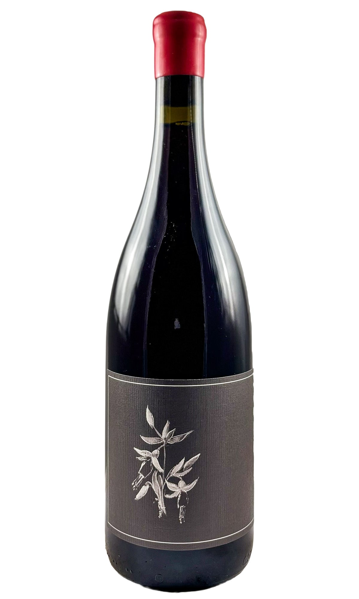 Bottle of Arnot-Roberts, Trousseau North Coast, 2024 - Red Wine - Flatiron Wines & Spirits - New York