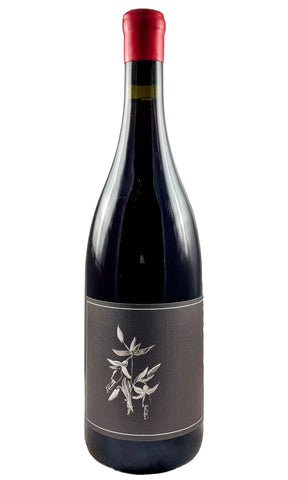 Bottle of Arnot-Roberts, Trousseau North Coast, 2024 - Red Wine - Flatiron Wines & Spirits - New York