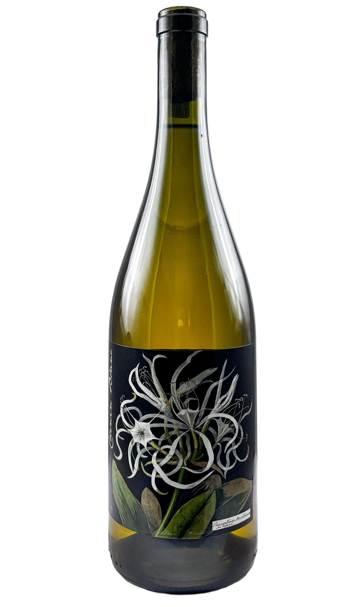 Bottle of Botanica, The Mary Delany Collection Chenin Blanc Citrusdal Mountain, 2024 - White Wine - Flatiron Wines & Spirits - New York