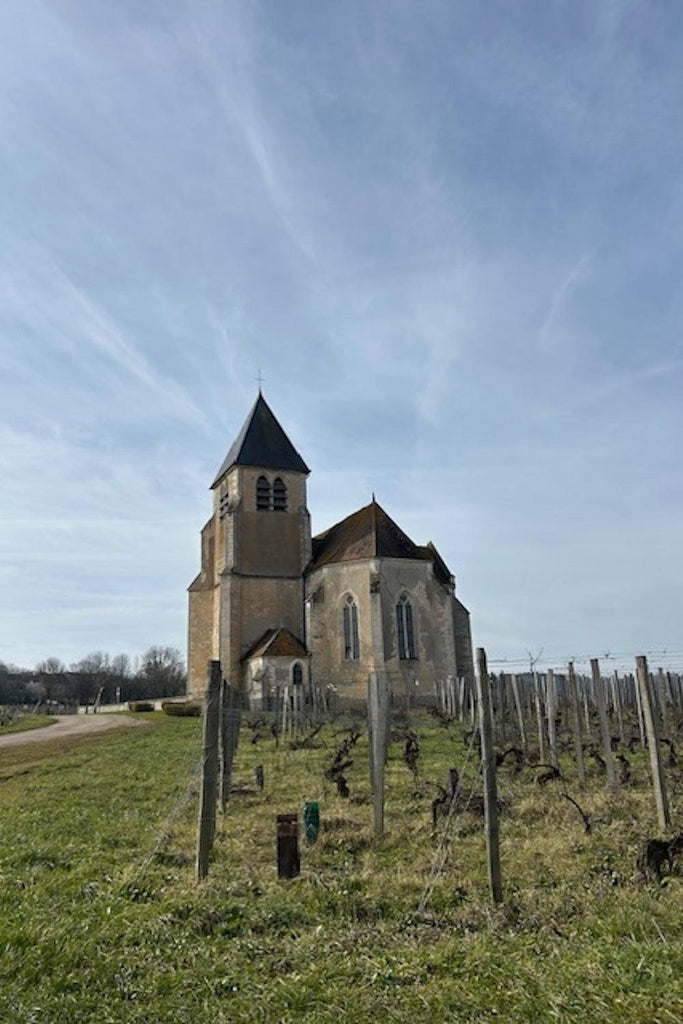 Bottle of Brocard Chablis Masterclass with Adrian Chalk, 9/24/2025 - Event - Flatiron Wines & Spirits - New York