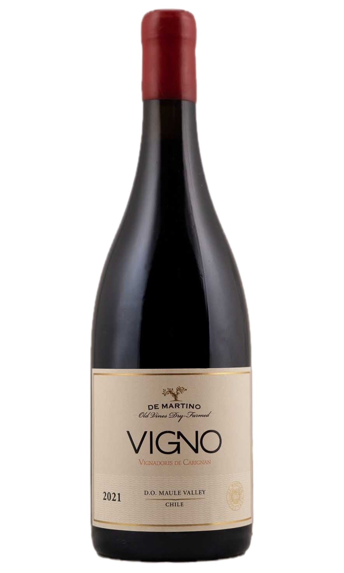 Bottle of De Martino, Vigno Carignan, 2021 - Red Wine - Flatiron Wines & Spirits - New York