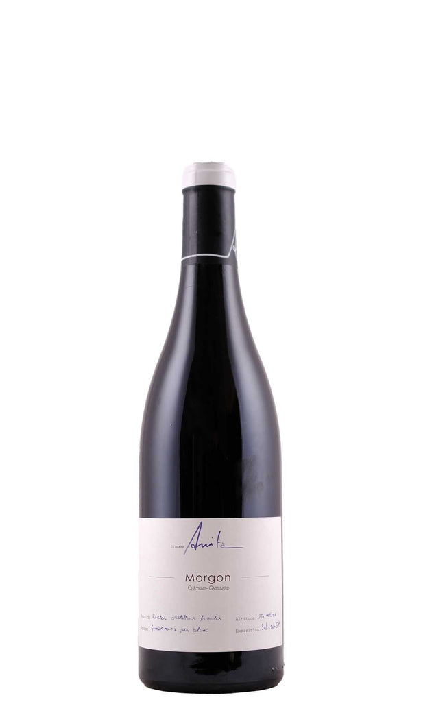 Bottle of Domaine Anita, Morgon 'Chateau Gaillard', 2021 - Red Wine - Flatiron Wines & Spirits - New York