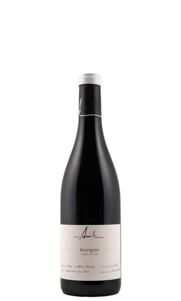 Bottle of Domaine Anita, Morgon Chateau Gaillard, 2022 - Red Wine - Flatiron Wines & Spirits - New York