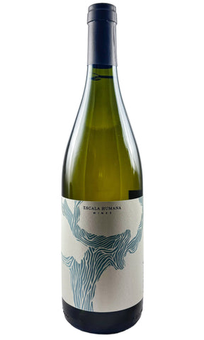 Bottle of Escala Humana, Chenin Blanc Livvera, 2025 - White Wine - Flatiron Wines & Spirits - New York
