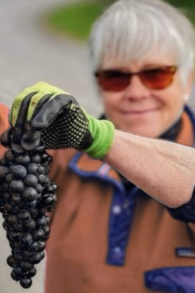 Bottle of Finger Lakes Sparklers with Nancy Irelan, 11/19/2025 - Event - Flatiron Wines & Spirits - New York