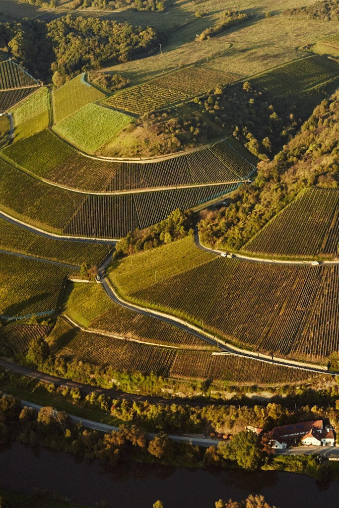 Bottle of Germany & Austria Grand Tasting, 8/19/2025 - Event - Flatiron Wines & Spirits - New York