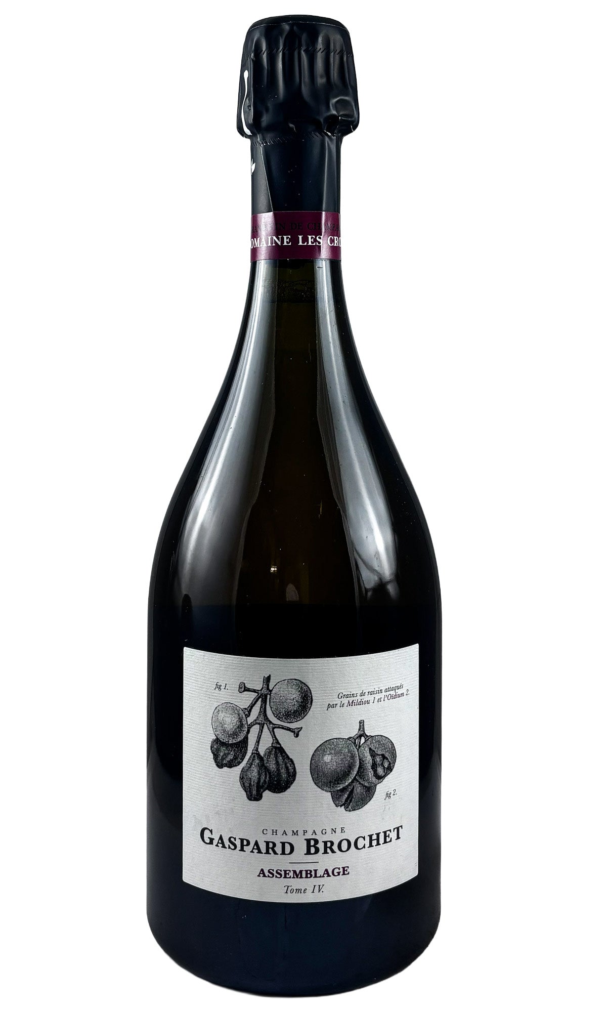 Gaspard Brochet, Champagne Assemblage PN+CH Tome IV, NV
