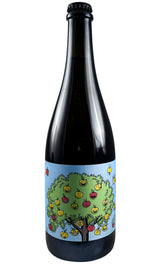 Bottle of Romain Henin, Korrigans Cidre "Freres De Pomme", 2024 - Cider - Flatiron Wines & Spirits - New York