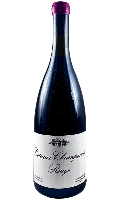 Bottle of Tarlant, Coteaux Champenois Rouge "Grand Picou-St. Agnan", 2019 - Red Wine - Flatiron Wines & Spirits - New York