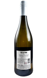 Bottle of Via Alpina, Pinot Grigio, 2025 - White Wine - Flatiron Wines & Spirits - New York