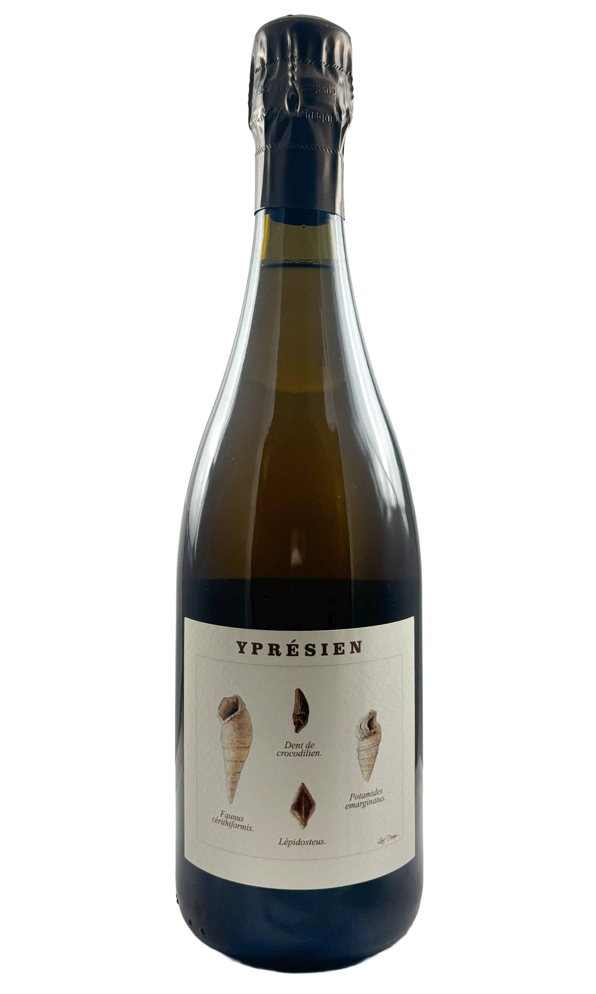 Bottle of Legrand-Latour, Champagne Ypresien Brut Nature [2021] , NV [DO NO SELL] [Pre-Arrival ETA 5/19] - Sparkling Wine - Flatiron Wines & Spirits - New York