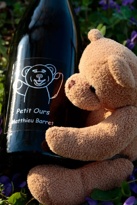 Bottle of Matthieu Barret, Cotes du Rhone Petit Ours, 2024 (Pre-sale, wine arrives 7/9/26) - Red Wine - Flatiron Wines & Spirits - New York