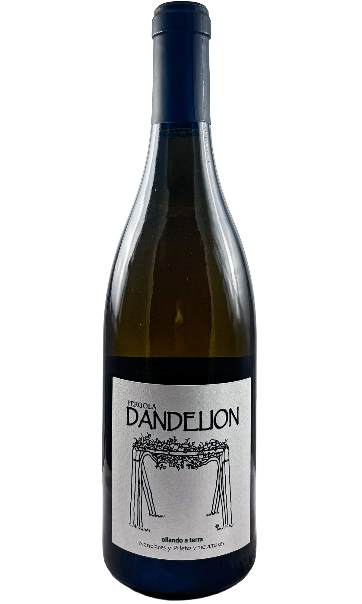 Bottle of Nanclares Y Prieto, Rias Baixas Albarino 'Dandelion', 2025 - White Wine - Flatiron Wines & Spirits - New York