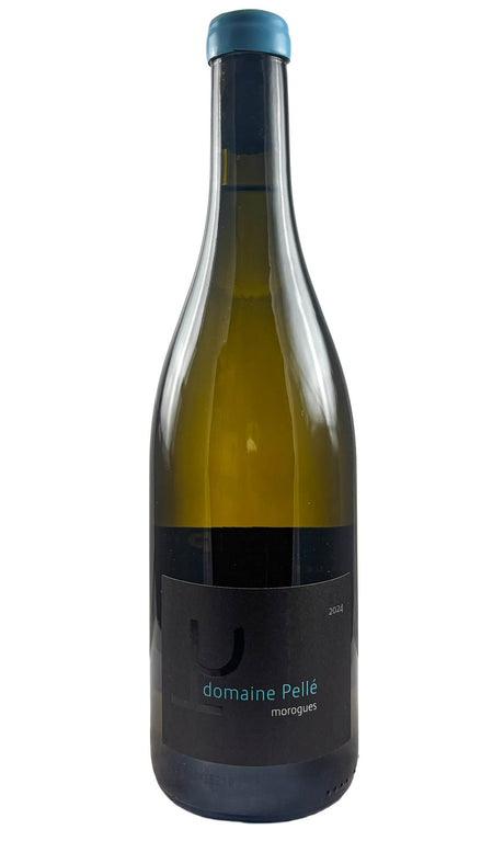 Bottle of Pelle, Menetou-Salon Morogues Blanc, 2024 - White Wine - Flatiron Wines & Spirits - New York